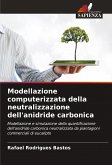 Modellazione computerizzata della neutralizzazione dell'anidride carbonica Modellazione computerizzata della neutralizzazione dell'anidride carbonica