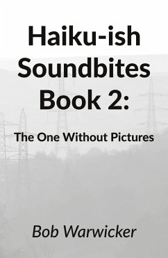 Cover Haiku-ish Soundbites Book 2