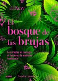 Bosque de las brujas Bosque de las brujas