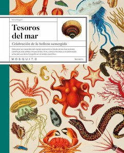 Cover Tesoros del mar
