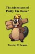 The Adventures of Paddy the Beaver - Bild 1