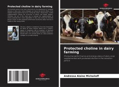 Protected choline in dairy farming - Michailoff, Andressa Alaine