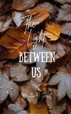 The Light Between Us The Light Between Us