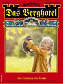 Das Berghotel 346 (eBook, ePUB)