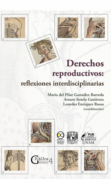 Derechos reproductivos: reflexiones interdisciplinarias (eBook, ePUB)