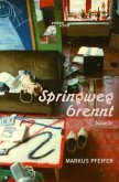 Springweg brennt