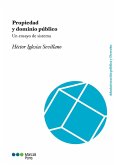 Propiedad y dominio público (eBook, PDF)