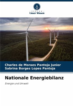 Nationale Energiebilanz Cover Nationale Energiebilanz