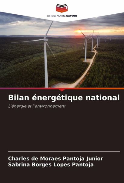 Bilan énergétique national Bilan énergétique national