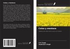 Colza y mostaza