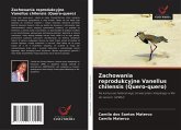 Zachowania reprodukcyjne Vanellus chilensis (Quero-quero)