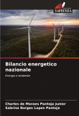 Bilancio energetico nazionale
