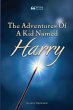The Adventures Of A Kid Named Harry - Bild 1