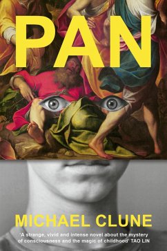 Cover Pan (eBook, ePUB)