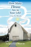 How Many Threes Are in Your Life? (eBook, ePUB)