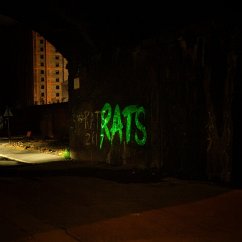 Rule The World - Rats Rule The World - Rats