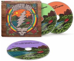 Cover The Music Never Stopped
