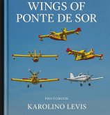 Wings of Ponte de Sor (eBook, ePUB) Wings of Ponte de Sor (eBook, ePUB)