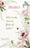 Mindset (eBook, ePUB)