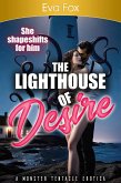The Lighthouse of Desire (eBook, ePUB) The Lighthouse of Desire (eBook, ePUB)