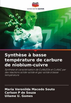 Cover Synthèse à basse température de carbure de niobium-cuivre
