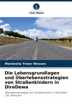 Cover Die Lebensgrundlagen und Überlebensstrategien von Straßenkindern in DireDewa