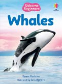 Beginners Whales Beginners Whales