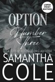 Option Number Three Option Number Three