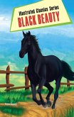Illustrated Classics Series Black Beauty Illustrated Classics Series Black Beauty