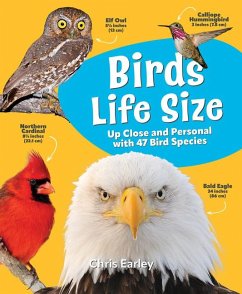 Cover Birds Life Size