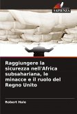 Raggiungere la sicurezza nell'Africa subsahariana, le minacce e il ruolo del Regno Unito
