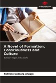 A Novel of Formation, Consciousness and Culture A Novel of Formation, Consciousness and Culture