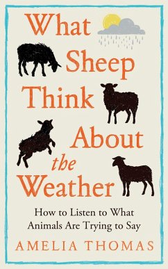 What Sheep Think About the Weather - Thomas, Amelia