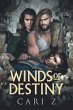 Winds of Destiny (eBook, ePUB) - Bild 1