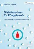 Diabeteswissen für Pflegeberufe (eBook, PDF)