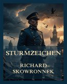 Sturmzeichen (eBook, ePUB)