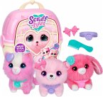 Moose Toys 300335 - Scruff-a-Luvs Haustier-Einzelpack - Pink Moose Toys 300335 - Scruff-a-Luvs Haustier-Einzelpack - Pink