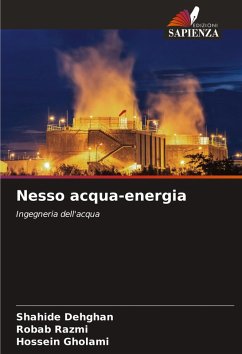 Nesso acqua-energia - Dehghan, Shahide;Razmi, Robab;Gholami, Hossein