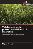 Valutazione delle prestazioni dei letti di macrofite Valutazione delle prestazioni dei letti di macrofite