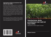 Valutazione delle prestazioni dei letti di macrofite Valutazione delle prestazioni dei letti di macrofite
