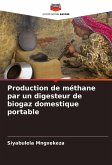 Production de méthane par un digesteur de biogaz domestique portable