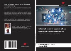 Cover Internal control system of an electronic money company