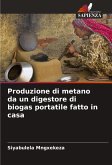 Produzione di metano da un digestore di biogas portatile fatto in casa Produzione di metano da un digestore di biogas portatile fatto in casa