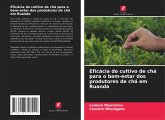 Eficácia do cultivo de chá para o bem-estar dos produtores de chá em Ruanda