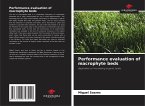 Performance evaluation of macrophyte beds