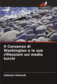 Cover Il Consenso di Washington e le sue riflessioni sui media turchi