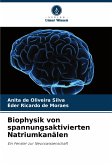 Biophysik von spannungsaktivierten Natriumkanälen