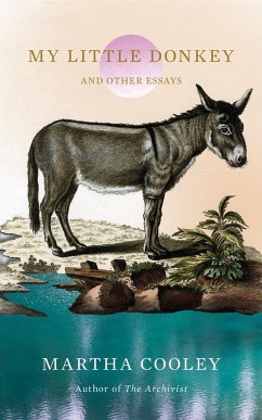 Cover My Little Donkey