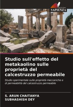 Cover Studio sull'effetto del metakaolino sulle proprietà del calcestruzzo permeabile