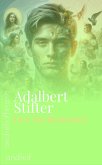 Der Nachsommer (eBook, ePUB) Der Nachsommer (eBook, ePUB)